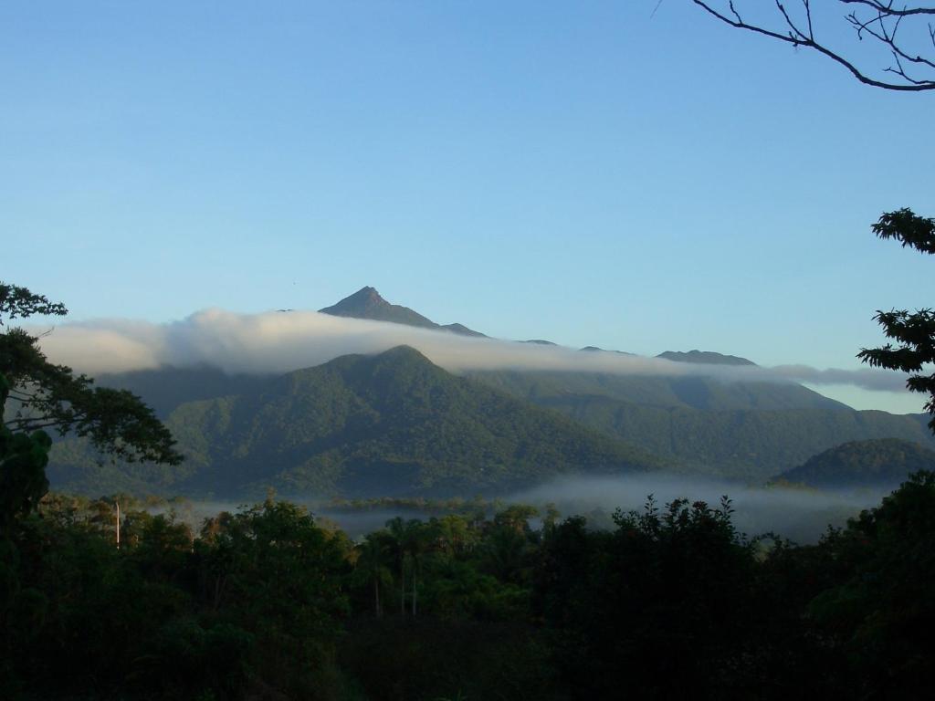 Epiphyte B & B - Best Hotels in Queensland
