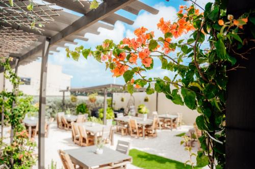 RH Boutique Hotel Aruba