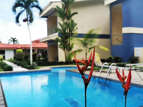 Hotel Monte Real - Best Hotels with Free Breakfast in Costa Rica