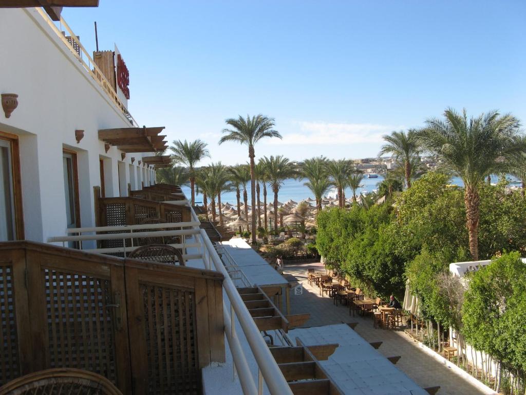 Oonas Dive Club - Best Hotels in Sharm el Sheikh