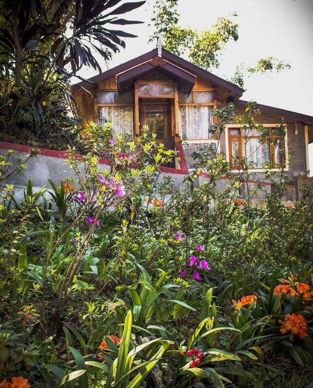 holumba haven - Best Hotels in West Bengal