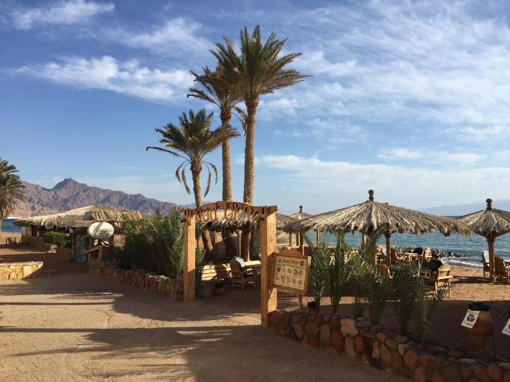 Dive Urge - Best Hotels in Dahab