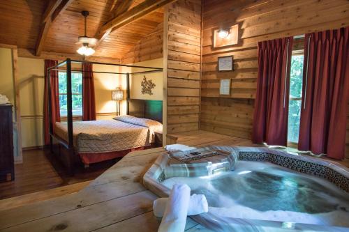 Forrest Hills Mountain Resort - Best Hotels in Dahlonega, GA