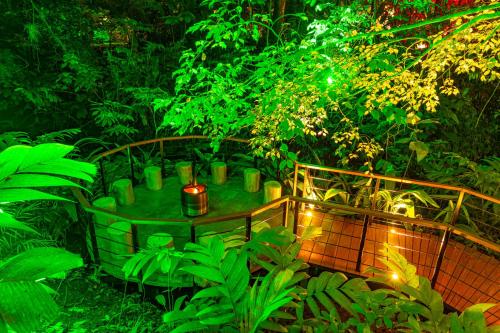 Noah's Forest Hotel by Tifakara