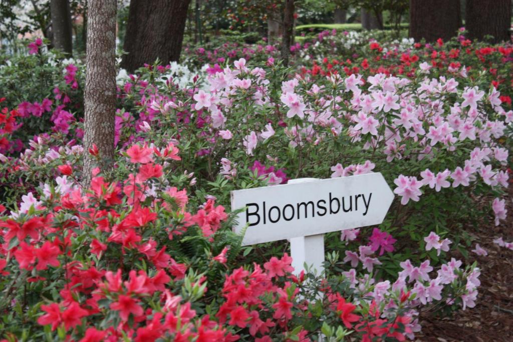 Bloomsbury Inn - Best Hotels in South Carolina