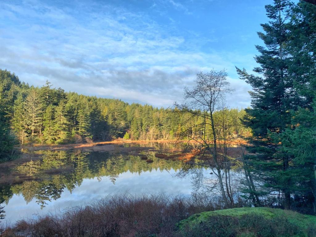 Otter's Pond Bed and Breakfast - Best Hotels in Washington State