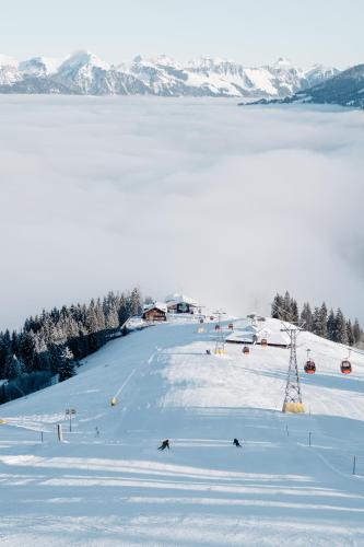 Rinderberg Lodge - Best Hotels in Bern Canton