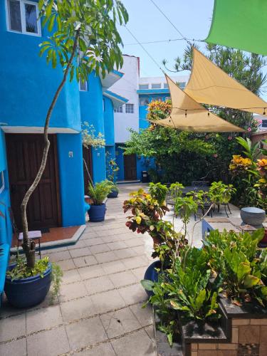 Hotel Villas Las Anclas - Best Pet-Friendly Hotels in Cozumel