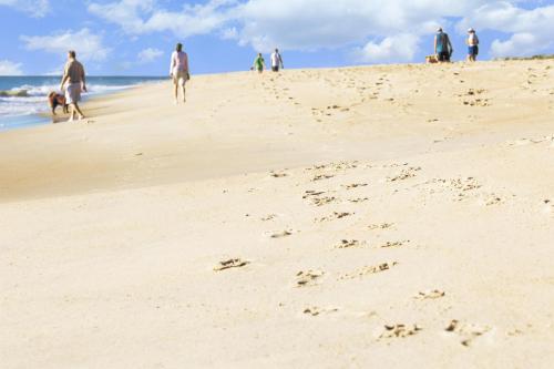 Hyatt Place Dewey Beach - Best Hotels in Rehoboth Beach, DE