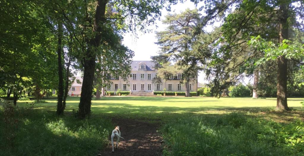 COLIVAULT - Best Loire Valley Family Hotels