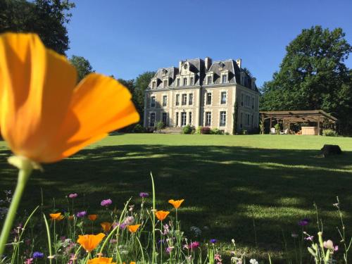 Château des Essards avec piscine et jacuzzi - Best Hotels in Loire Valley