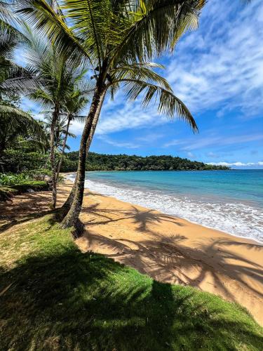 Bom Bom - Principe Collection - Best Hotels in Sao Tome and Principe