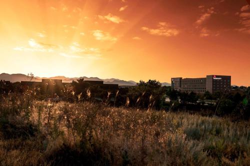 Denver Marriott Westminster - Best Hotels with Free Breakfast in Denver, CO