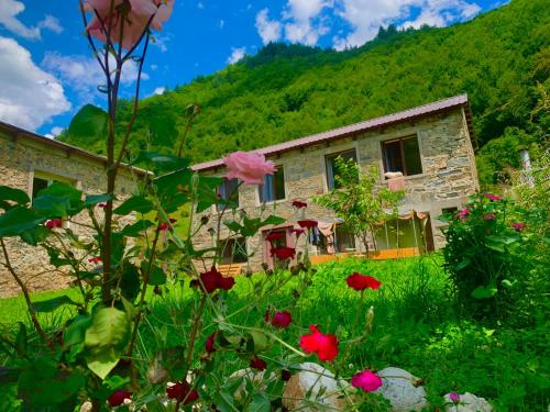 River side SVANETI