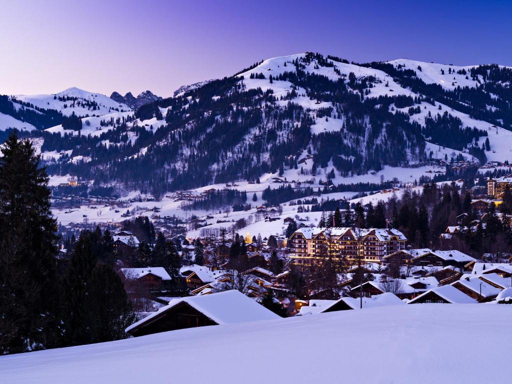 Park Gstaad - Best Hotels in Bern Canton