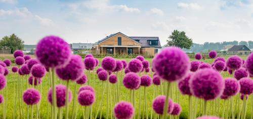 B&B de Cley - Best Hotels in Noordwijk