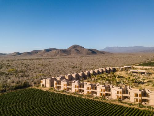 Paradero Todos Santos - Exclusive experiences included - Best Hotels in Baja California Sur