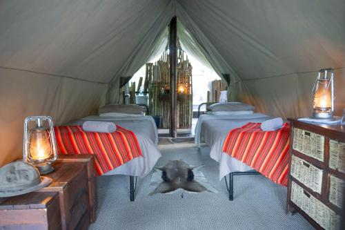 Quatermain's 1920's Safari Camp – Amakhala Game Reserve - Best Hotels in Addo