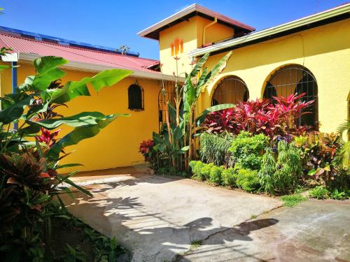 Hotel Casa 69 - Best Pet-Friendly Hotels in Costa Rica