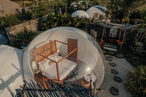 Green Land Bubble Glamping - Best Hotels in Dominican Republic