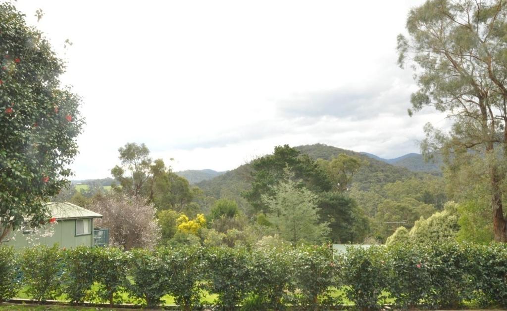 Healesville Maroondah View Motel - Pet Friendly Hotels Denver