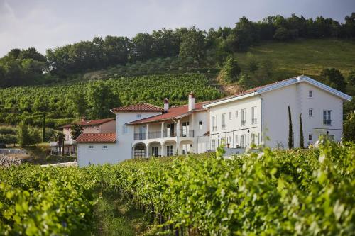 Peterc Vineyard Estate - Best Hotels in Gorizia