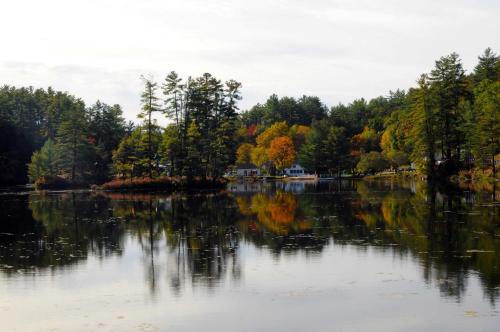  in New Hampshire