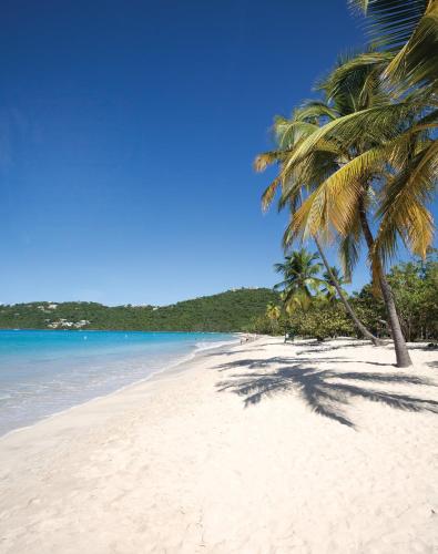 Elysian Beach Resort - Best Parking Hotels in U.S. Virgin Islands