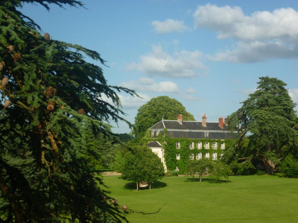 Bed and Breakfast - Château du Vau - Best Hotels in Loire Valley