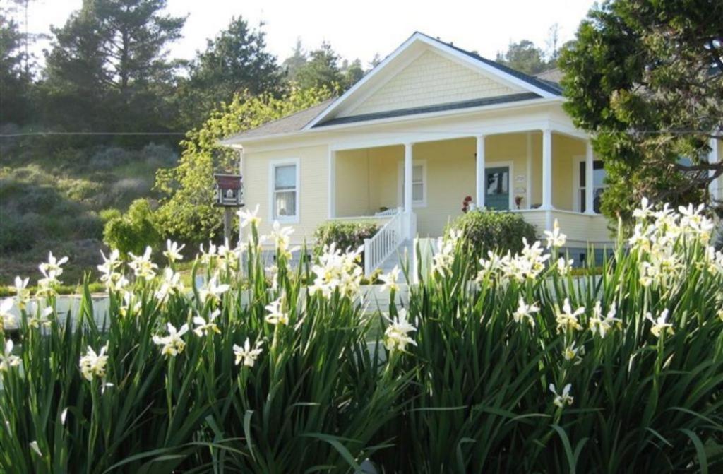 Fog's End B&B - Best Hotels in Cambria