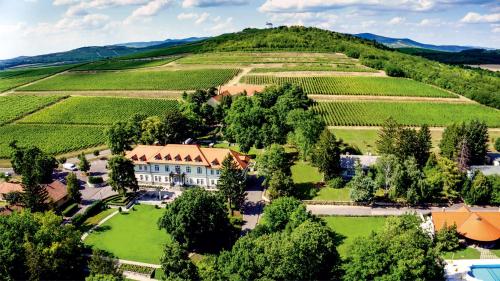 Castle Hotel Grof Degenfeld Superior - Best Pool Hotels in Hungary