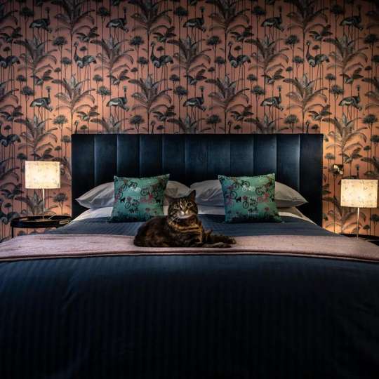 Broomhill Estate Boutique Art Hotel