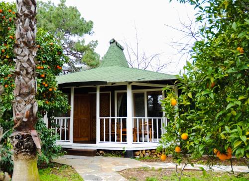 Arcadia Hotel - Best Hotels in Cirali