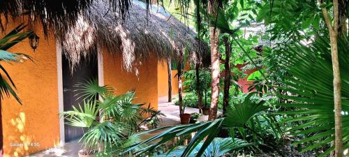 Casa Don Diego - Best Pet-Friendly Hotels in Tulum