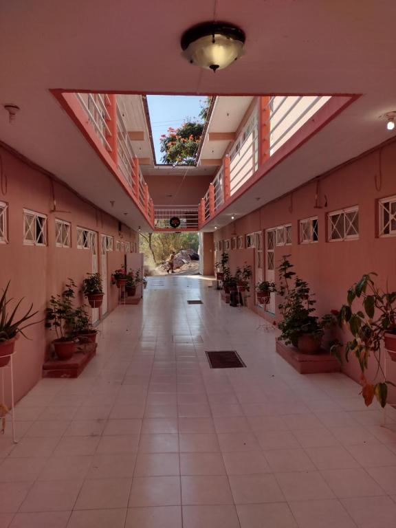 Hostal Eclipse Oaxaca - Best Pet-Friendly Hotels in Oaxaca