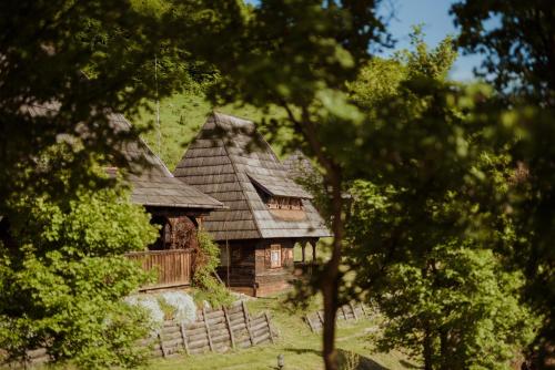 Raven's Nest - The Hidden Village, Transylvania - Romania