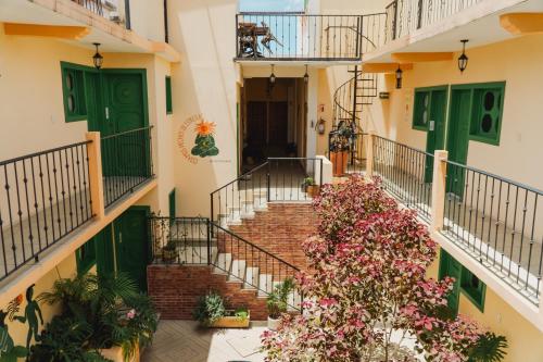 Hotel Cielo y Selva, San Cristobal de las Casas - Best Pet-Friendly Hotels in San Cristobal de las Casas