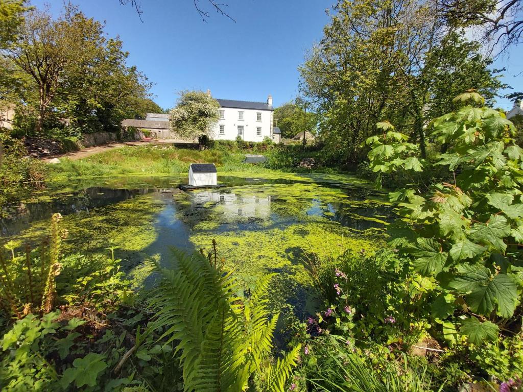 Hen Ffermdy - Best Hotels in Wales