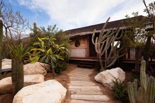 El Perdido Desert Dream- Adults Only - Best Hotels in Baja California Sur