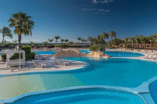 Sheraton Fuerteventura Golf & Spa Resort - Best Pet-Friendly Hotels in Canary Islands
