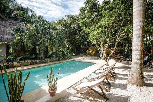 Glamping Bufo Alvarius Sanctuary Bacalar