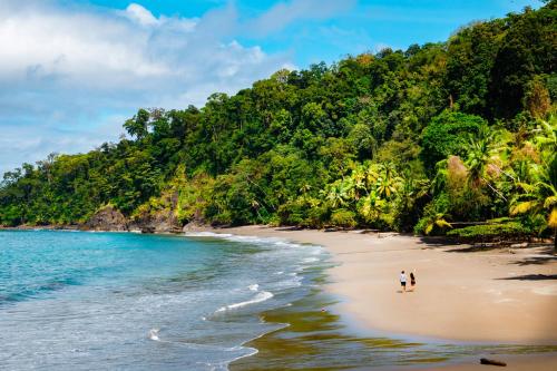 Corcovado Wilderness Lodge by SCP - Best Hotels in Puntarenas